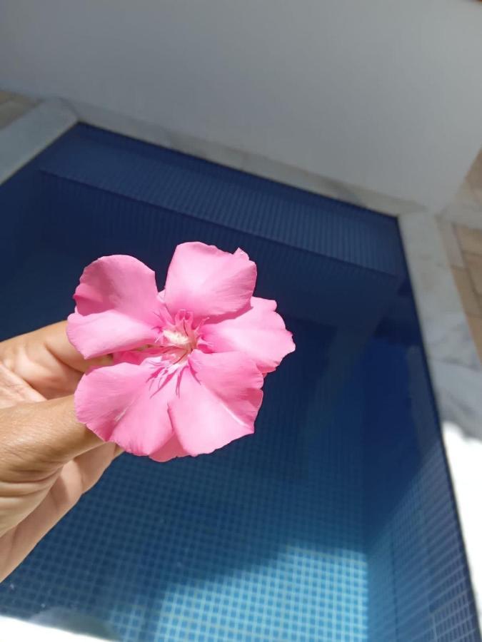 Tamandare Residence エクステリア 写真